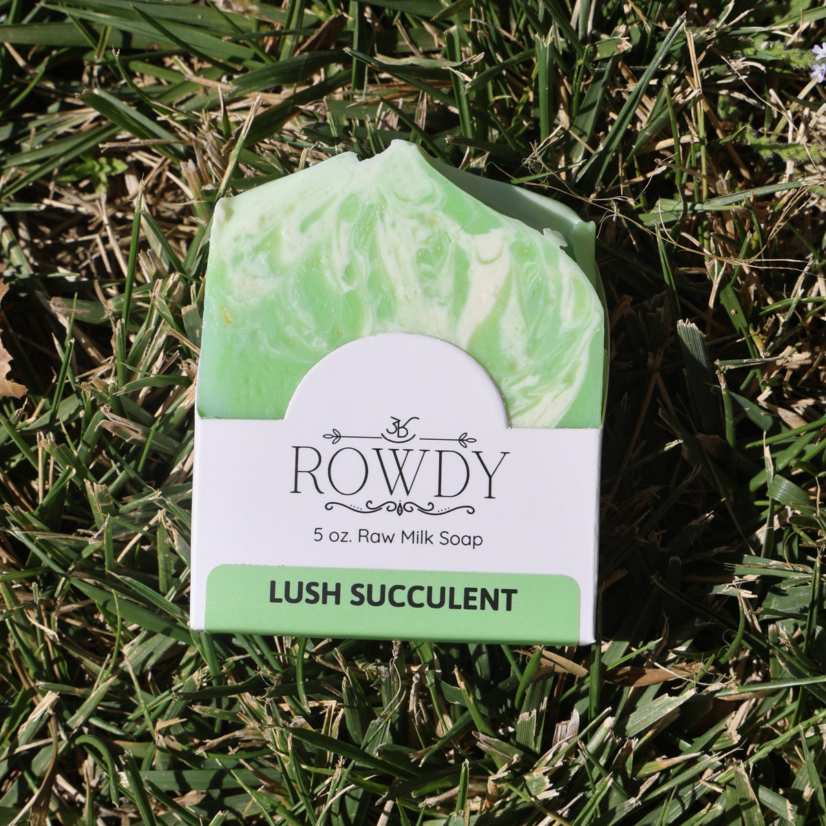 Lush Succulent Raw Milk Soap