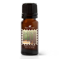 Travel with Me blends